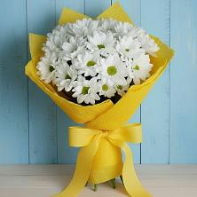 Букет цветов из:  Хризантемы в Асекеево