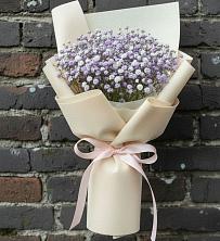 Букет цветов из:  Гипсофила в Асекеево