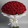 Букет 101 Красная роза Блэк Мэджик в Асекеево