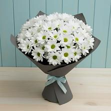 Букет цветов из:  Хризантемы в Асекеево