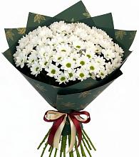 Букет цветов из:  Хризантемы в Асекеево