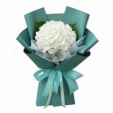 Букет цветов из:  Гортензия в Асекеево